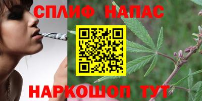 ПСИЛОЦИБИНОВЫЕ ГРИБЫ Гагарин